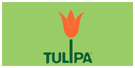 TULIPA